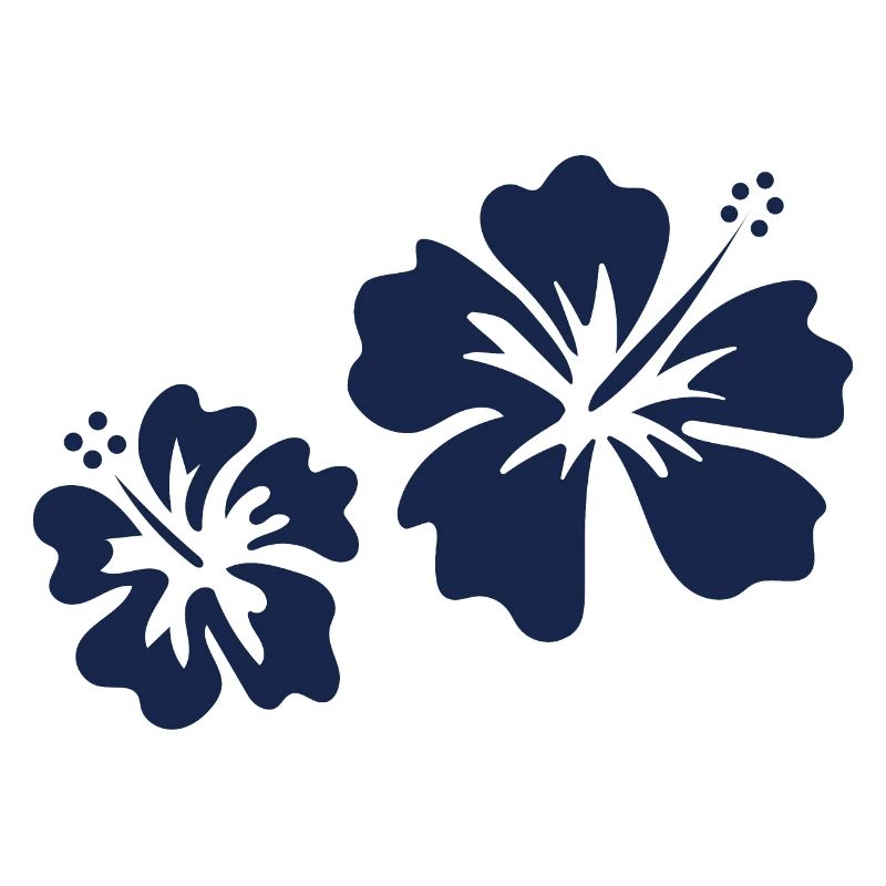 Blue hibiscus
