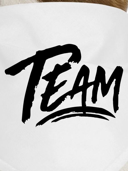 Team