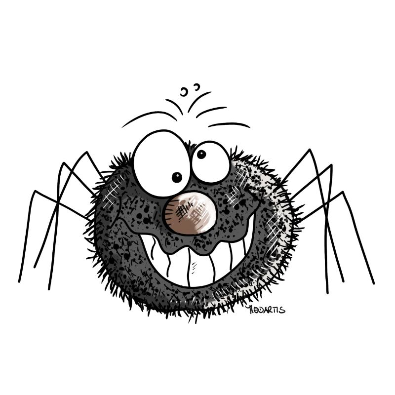 Funny spider