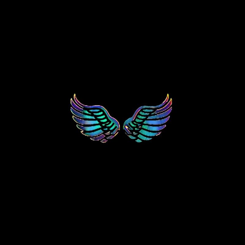 Des ailes