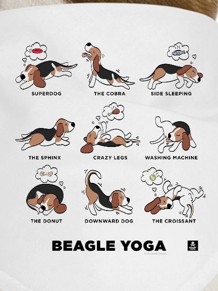 BEAGLE YOGA