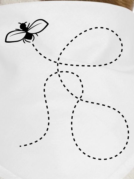 Dashed Line Fly