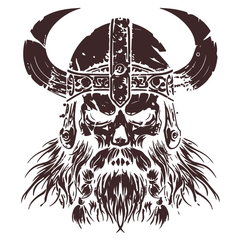 wikinger skull