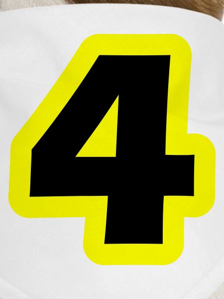 4 Number symbol