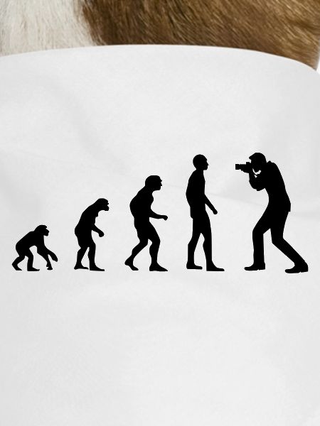 Evolution photographer