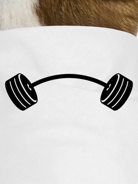 weights
