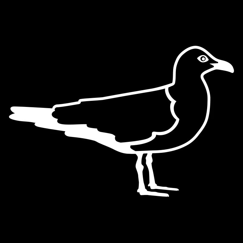 mouette