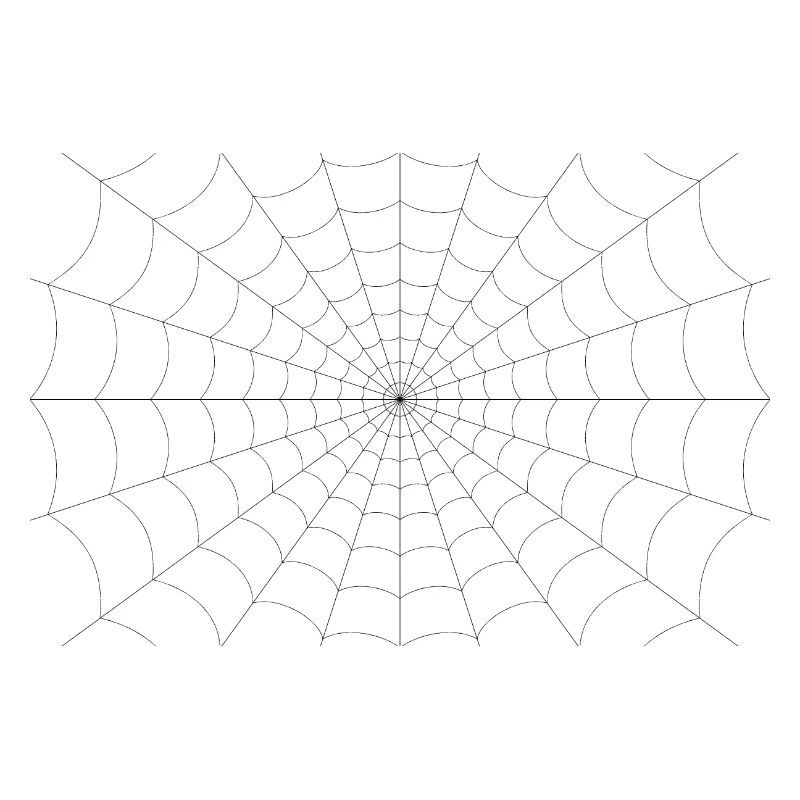 Spider web
