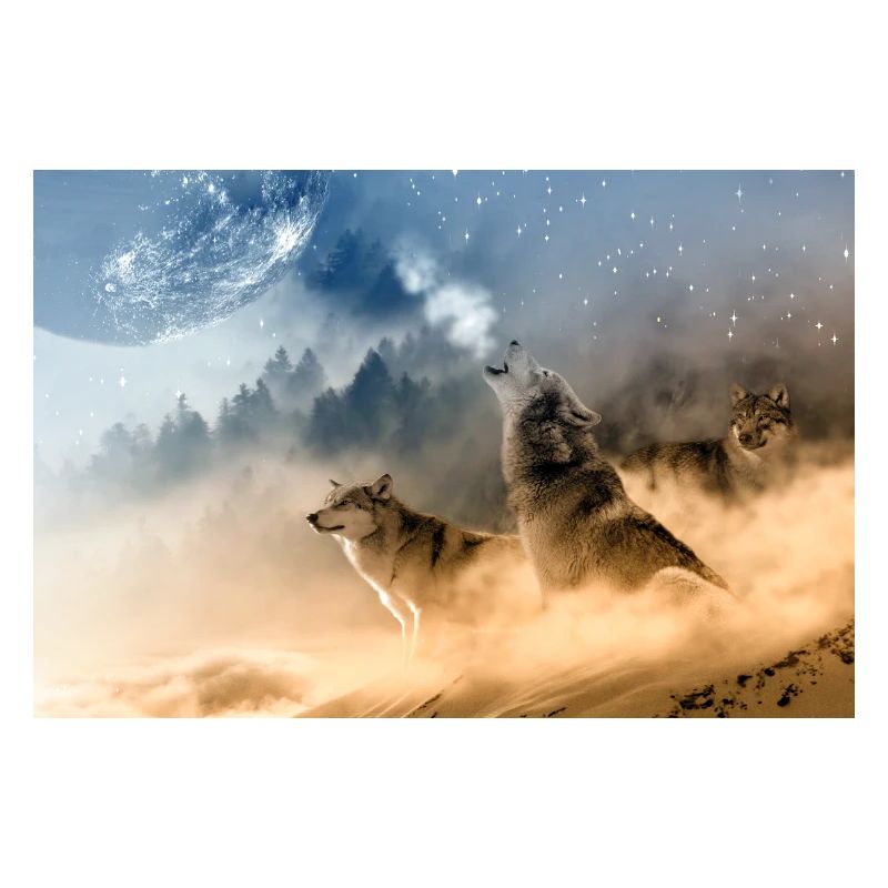 Loups hurlant à la lune / Beaux loups