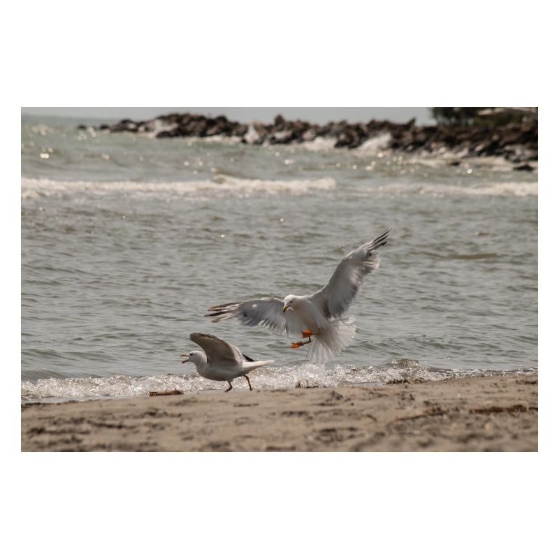 Zwischen Himmel und Meer