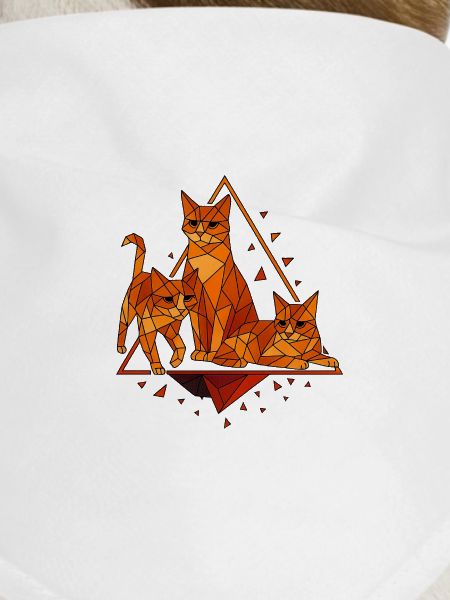 Geometric cats in diamond frame