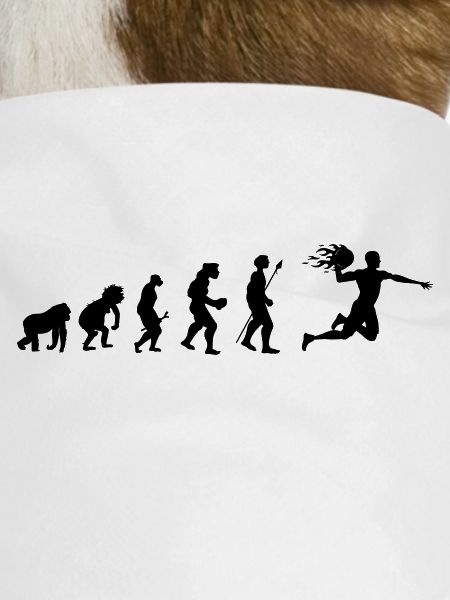 Handball evolution gift idea