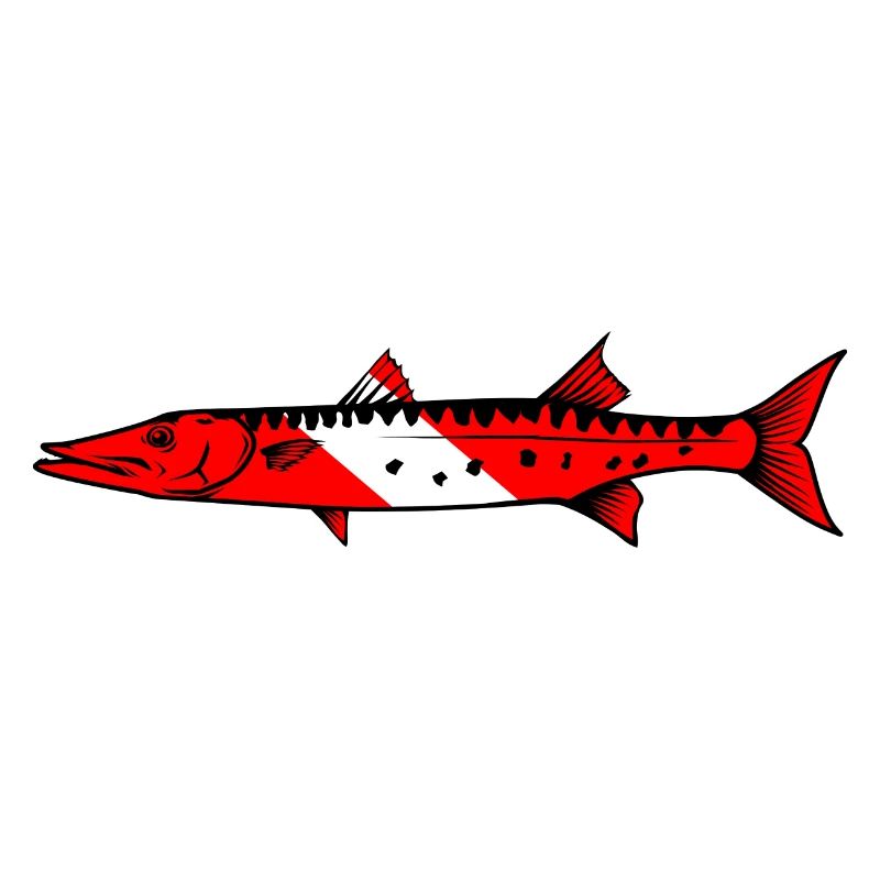 Barracuda by Scuba.Style