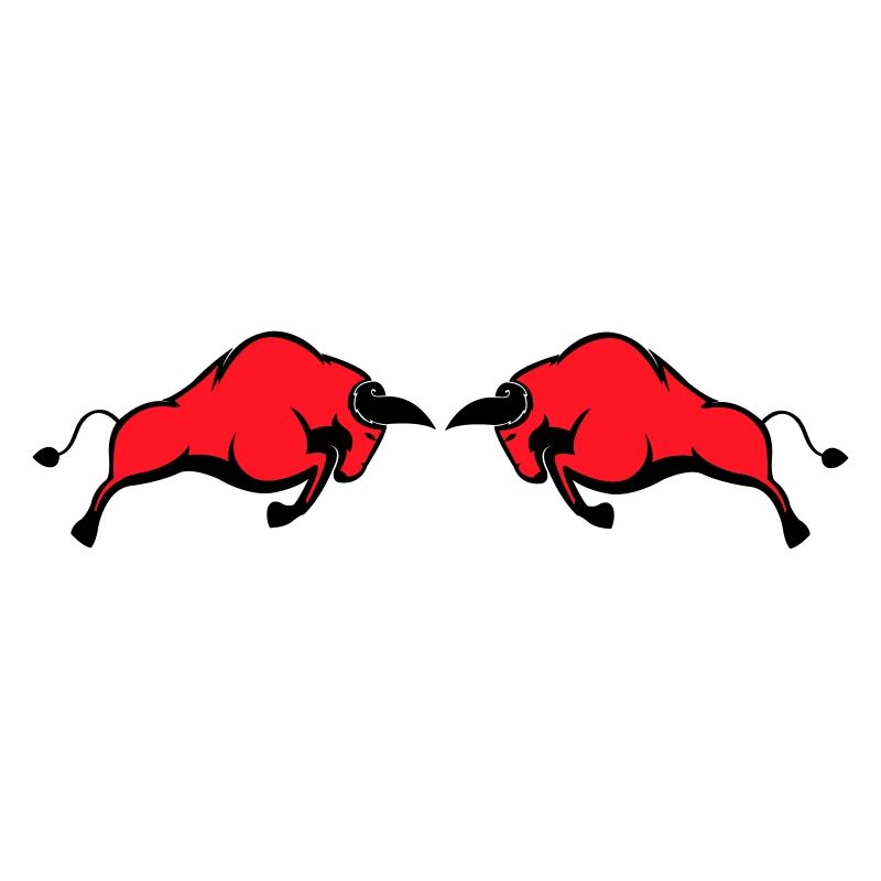 bulls