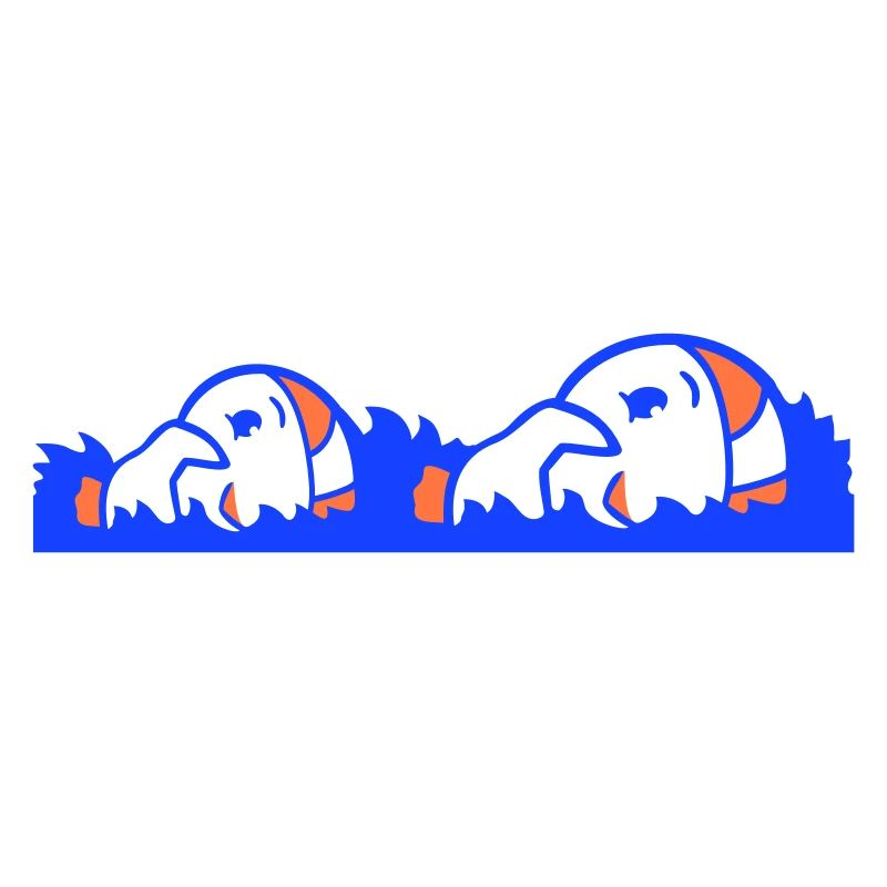 2 canards piscine eau mer vacances