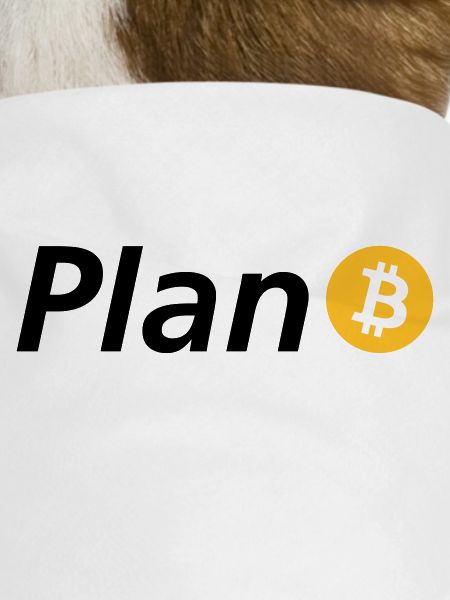 plan B