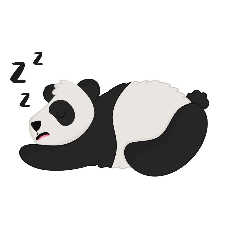 Panda Pandabär