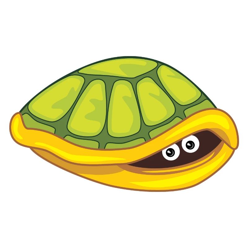 Funny scared turtle hide
