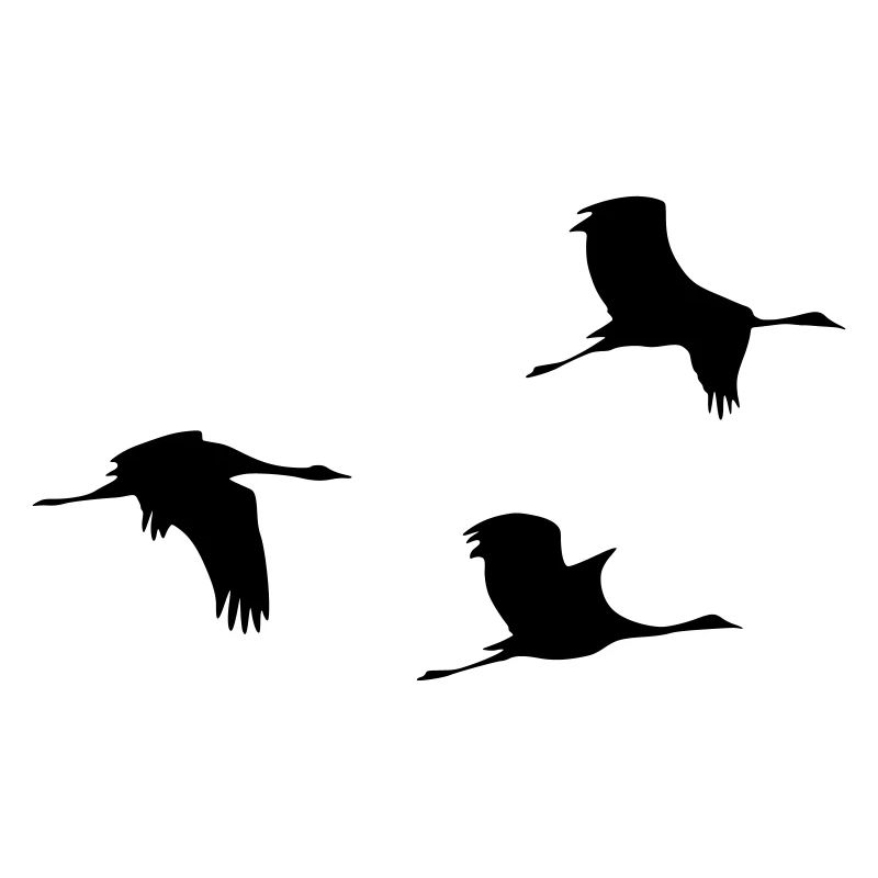 Flying Cranes Vector