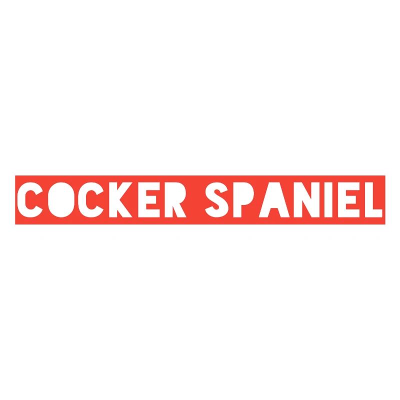 Cocker Spaniel | Niedlich