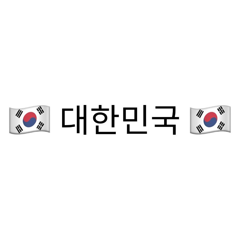 대한민국