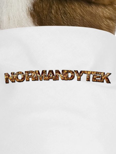 Normandytek script