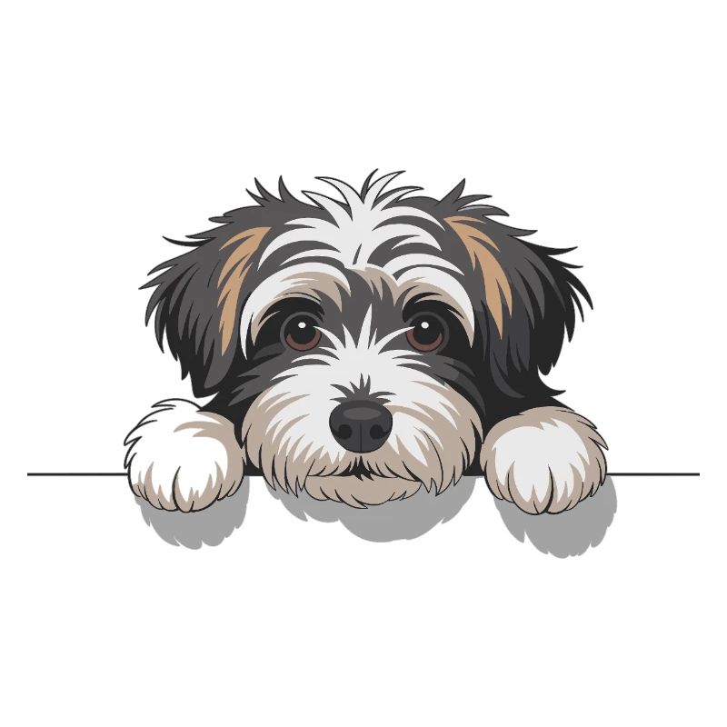 L’œil du chien sur le bord