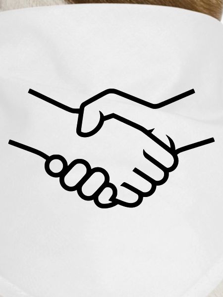 Handshake Hands Teamwork