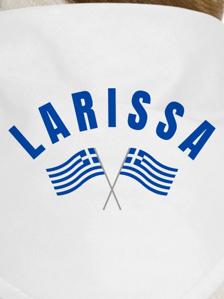 Drapeaux grecs de Larissa