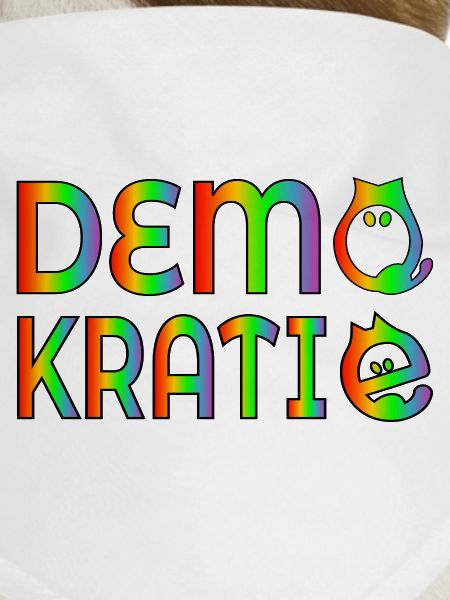 DIVERSITY CATS DEMOCRACY