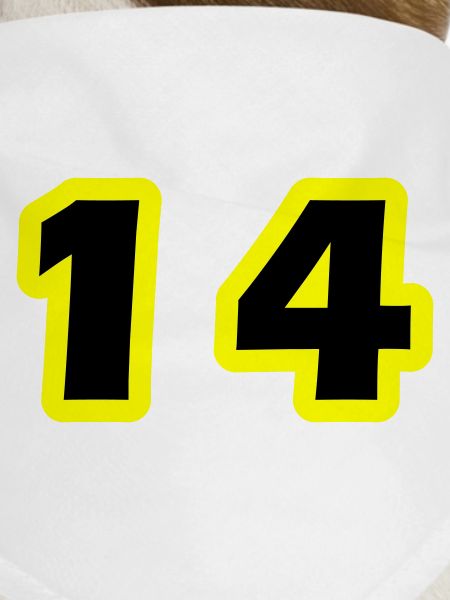 14 Number Symbol