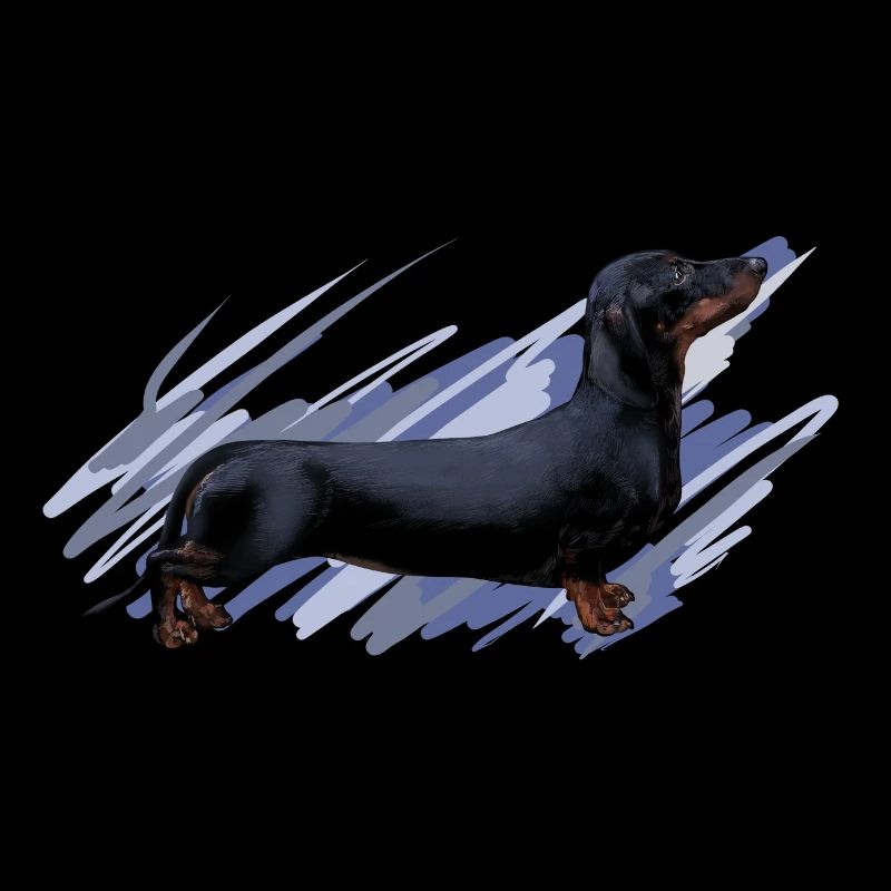 Dachshund