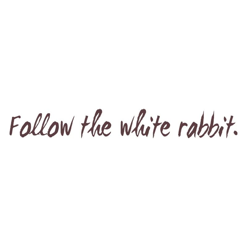 Follow the white rabbit programming cadeau