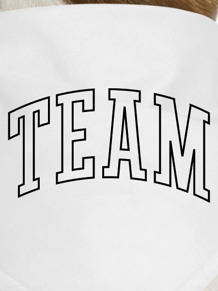 Team Outline