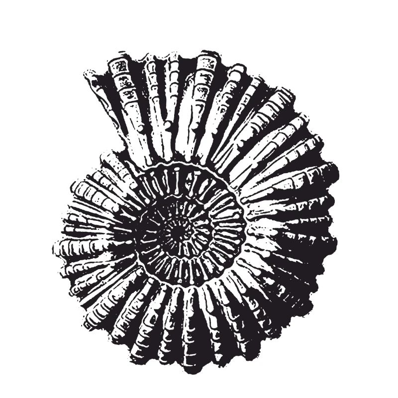 Escargot de pierre rétro