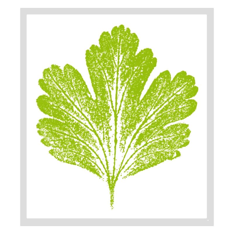 Leaf / gooseberry - With frame
