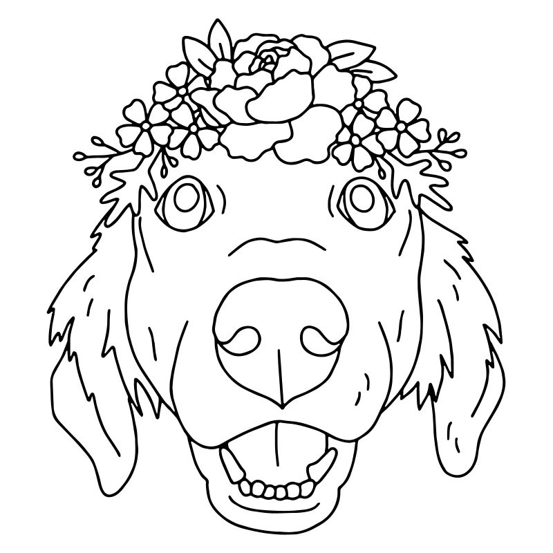 chien