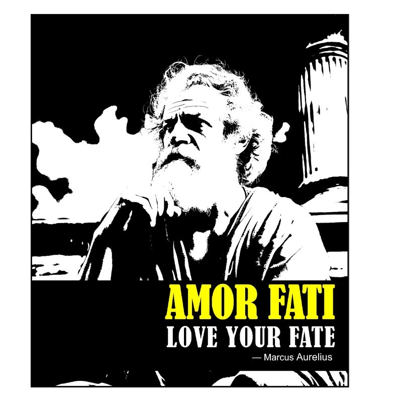 Amor Fati Marcus Aurelius Liebe dein Schicksal