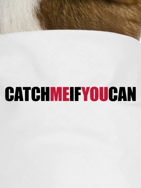 Fast Catch Me