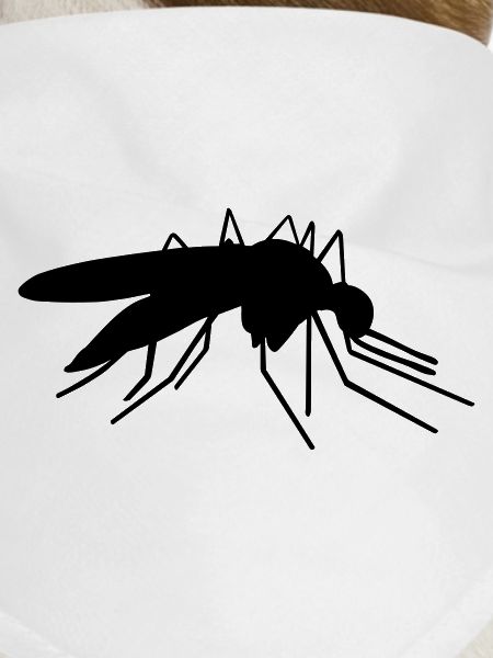 Mosquito
