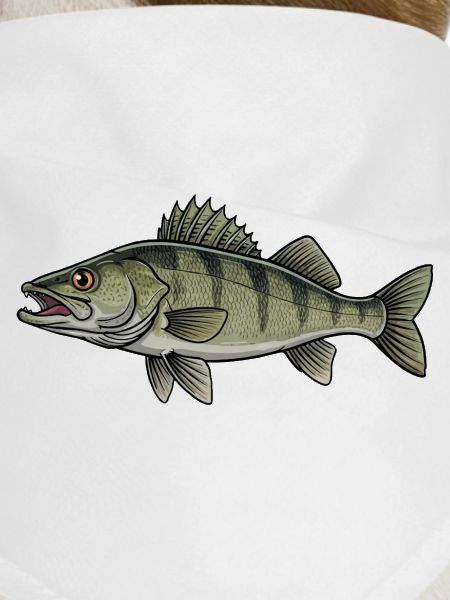 Zander Predator Fishing