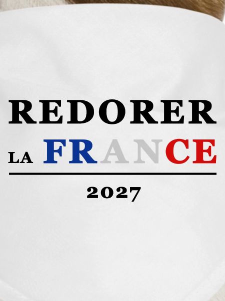 RESTORING FRANCE 1