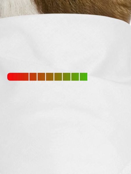 Loading Anxiety...