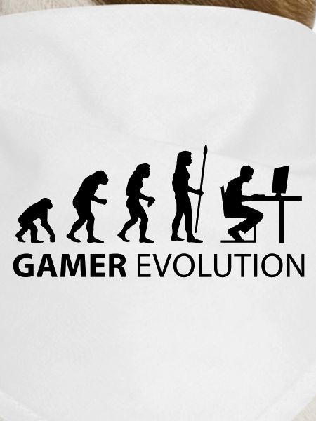 gamer evolution