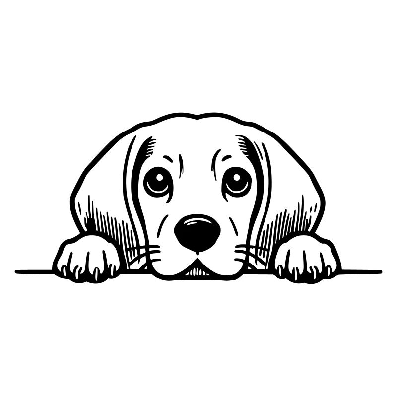 Peeking Beagle Vector