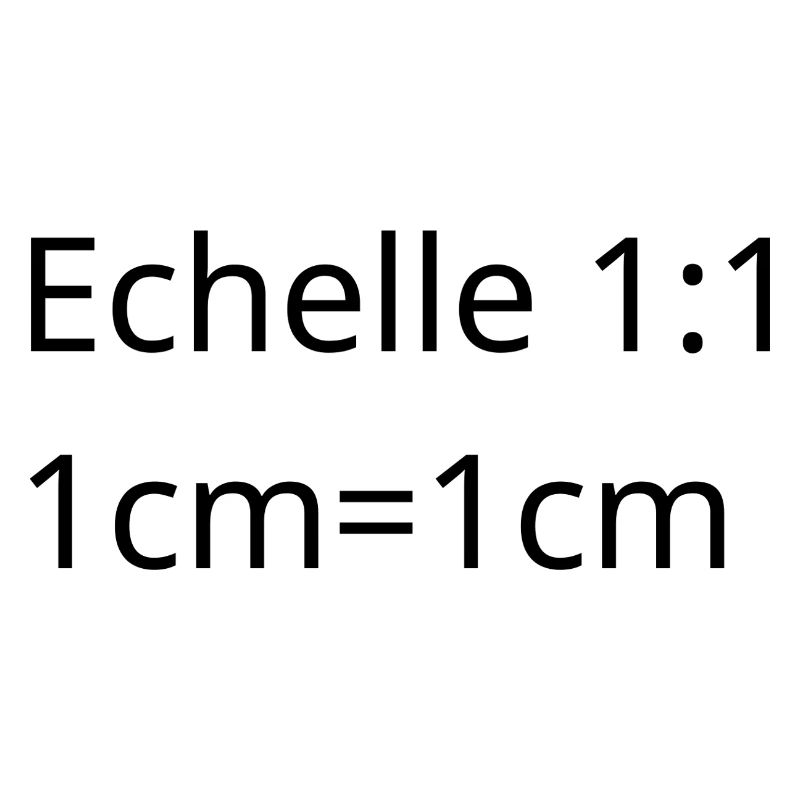 Architect, interior designer, project manager