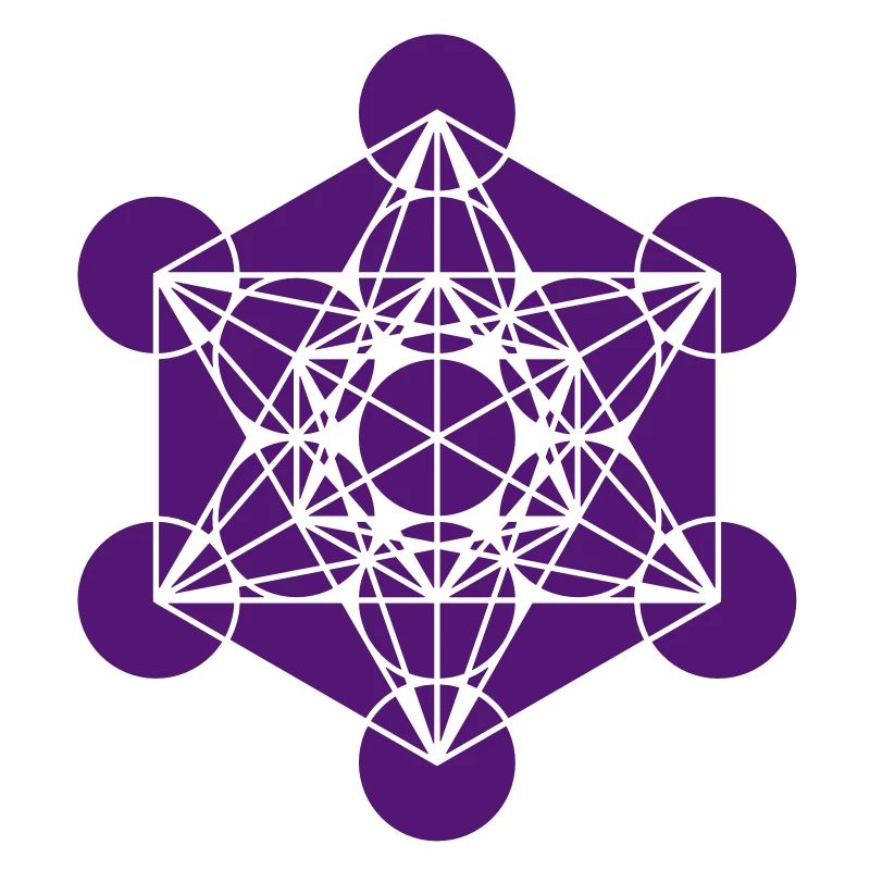 Metatrons Cube - Vector - Platonic Solids /