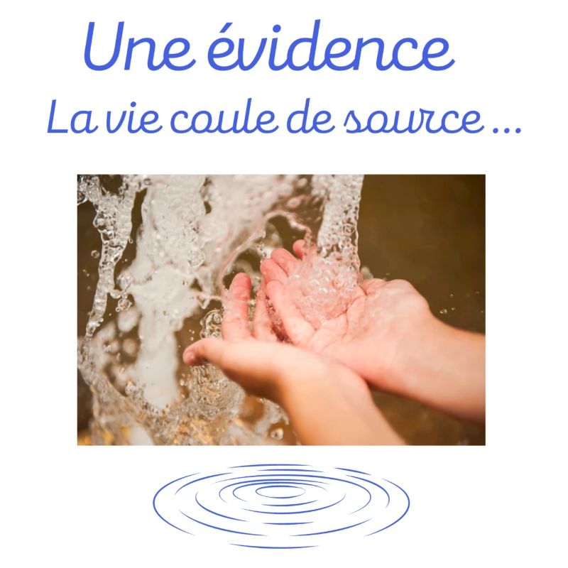 Une évidence la vie coule de source