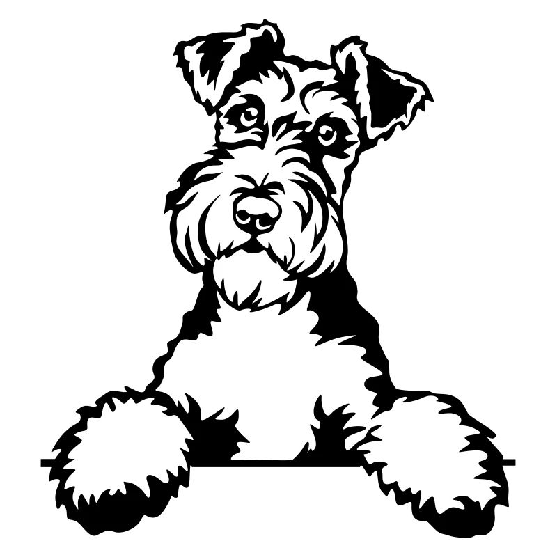 Foxterrier Kopf