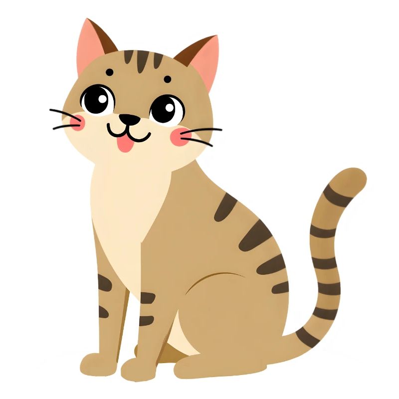 Chat